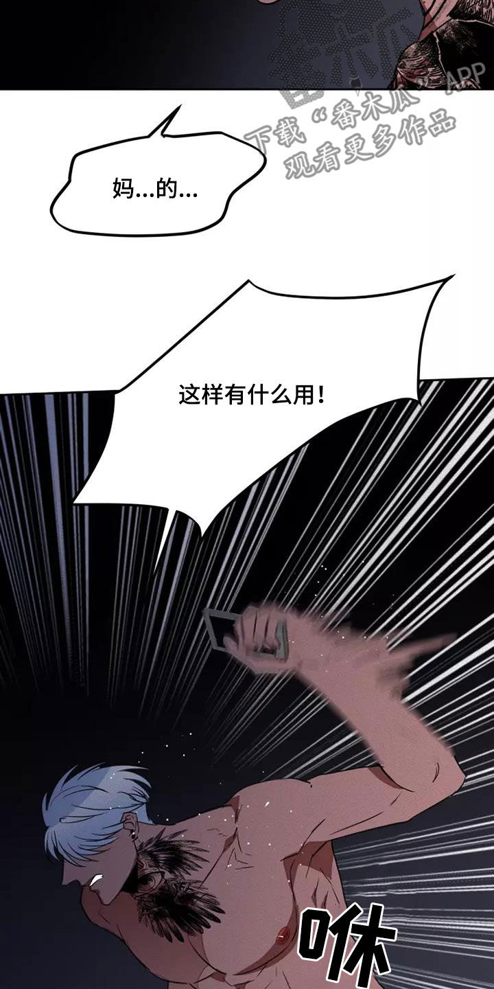第43章：狂怒13