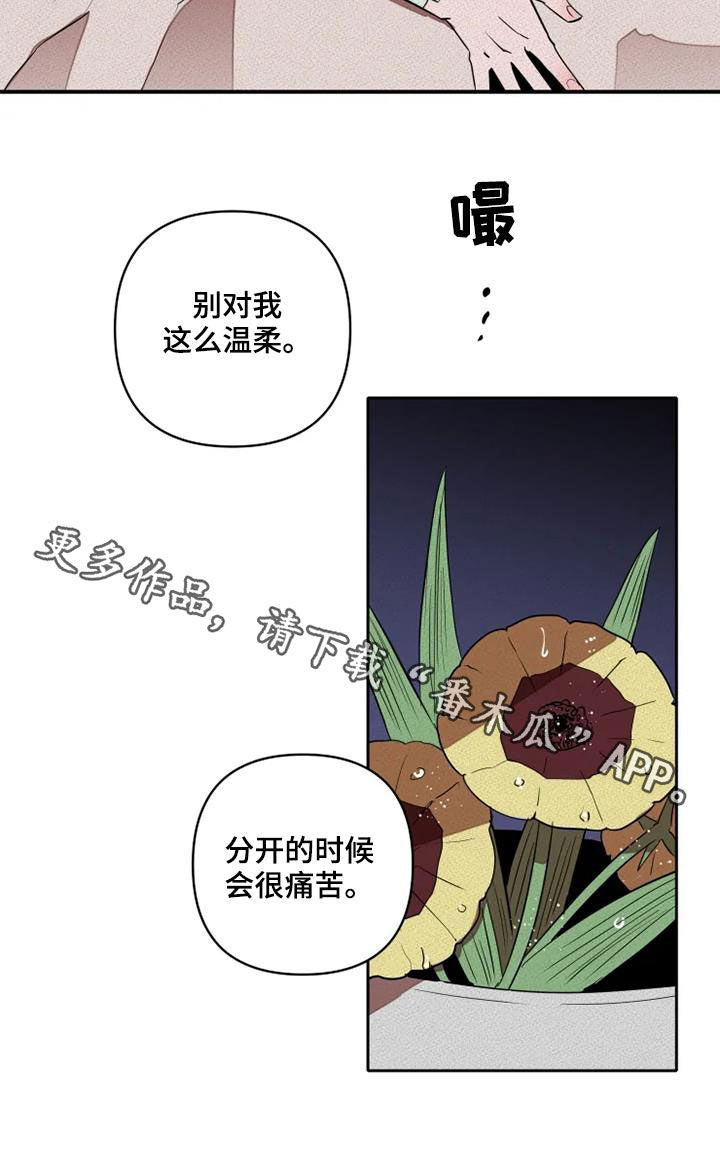第33章：拯救自己31