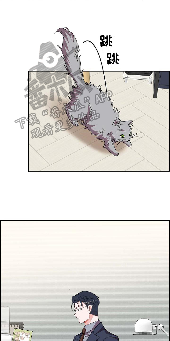 第37章：深刻记忆15