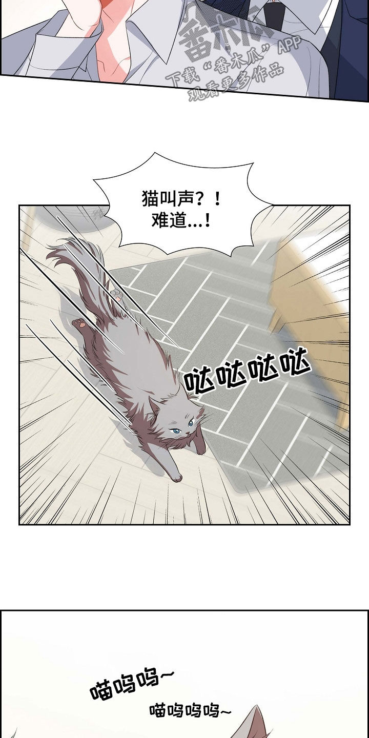 第100章：喝杯酒吧18