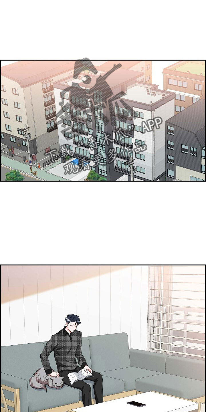 第54章：见面0