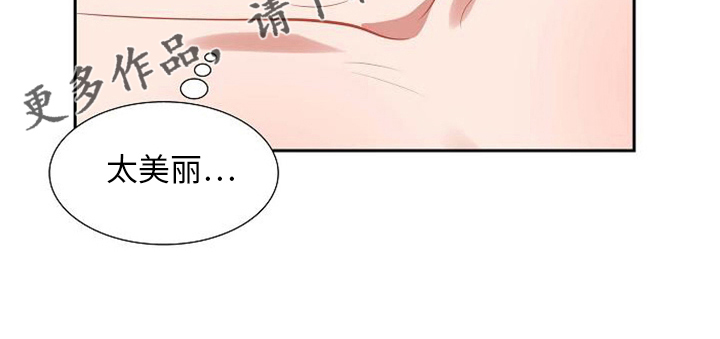 第45章：不是梦19