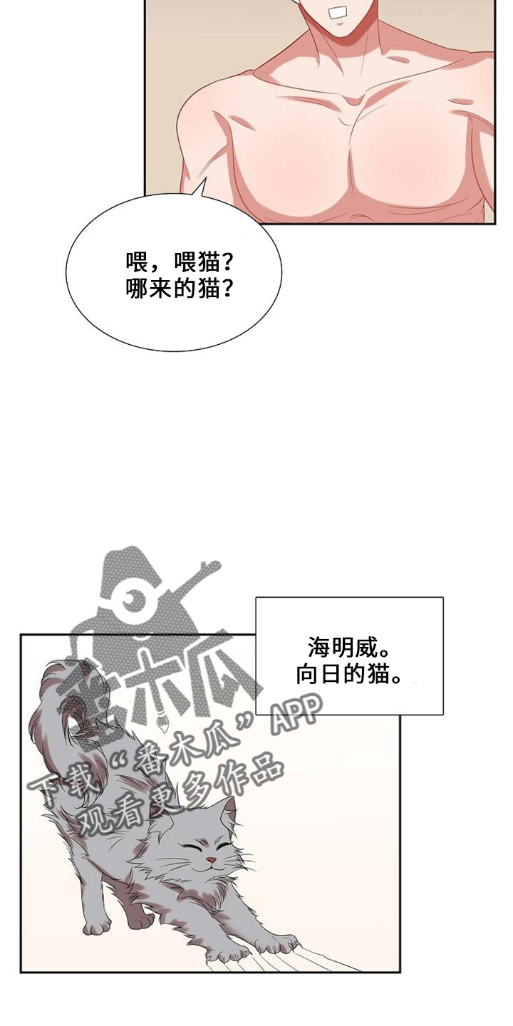 第48章：喂猫3