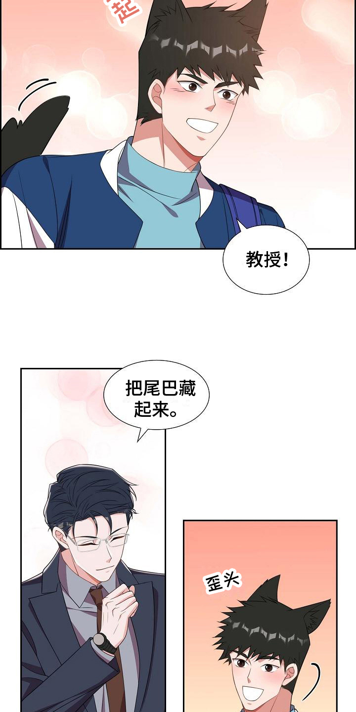 第31章：约定16