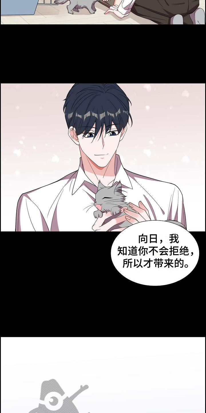 第38章：养猫9
