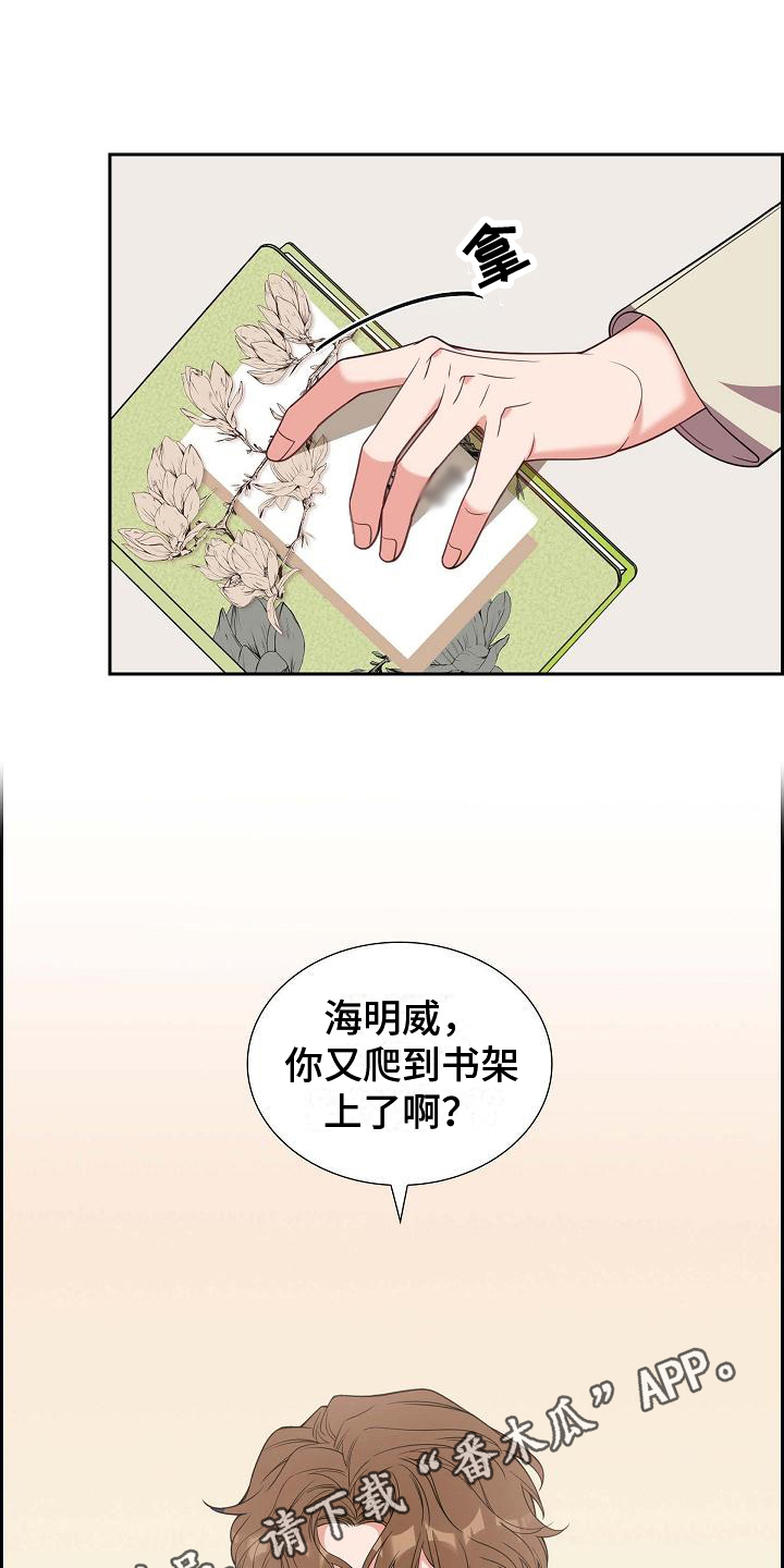 第37章：深刻记忆19