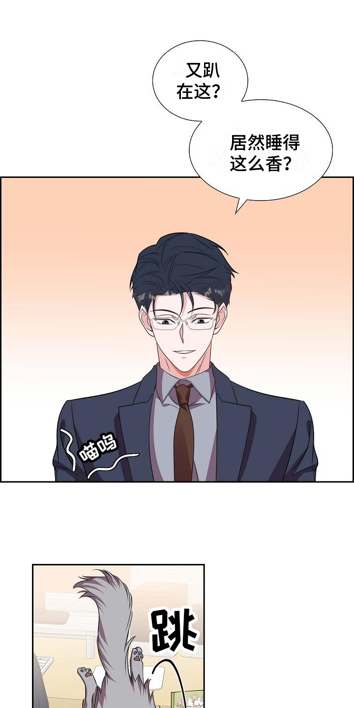 第37章：深刻记忆7