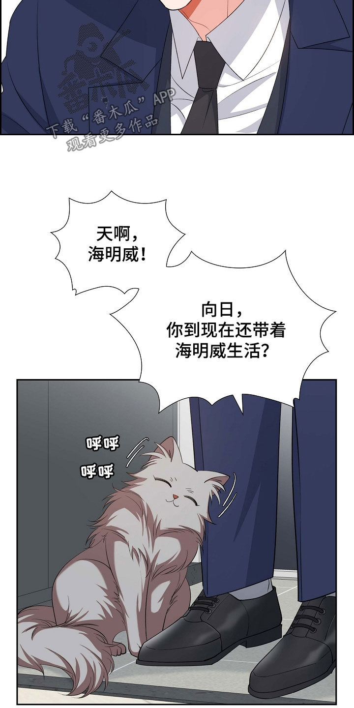 第100章：喝杯酒吧20