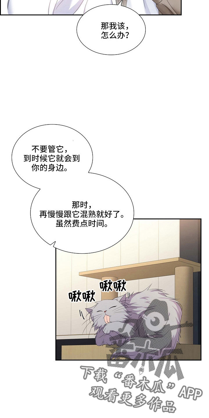 第63章：他的书7