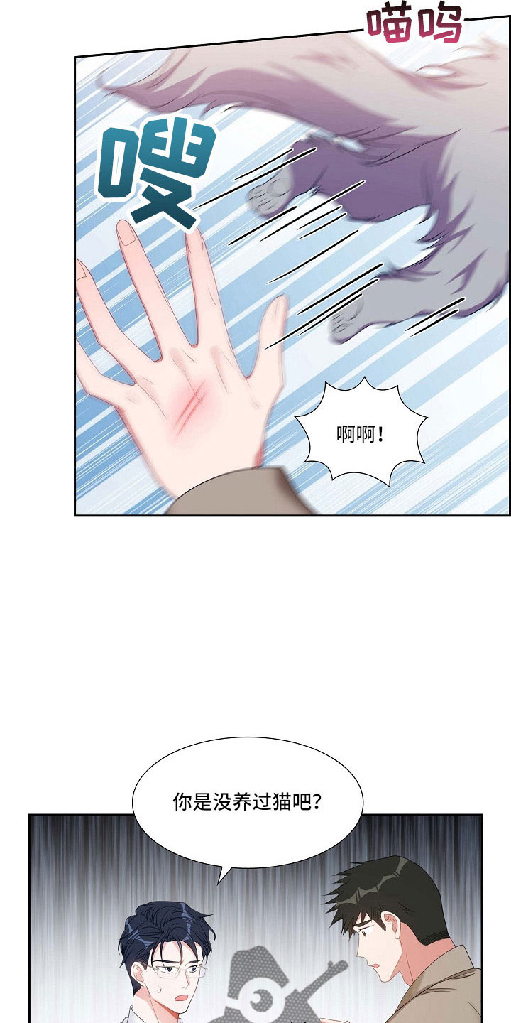 第63章：他的书5