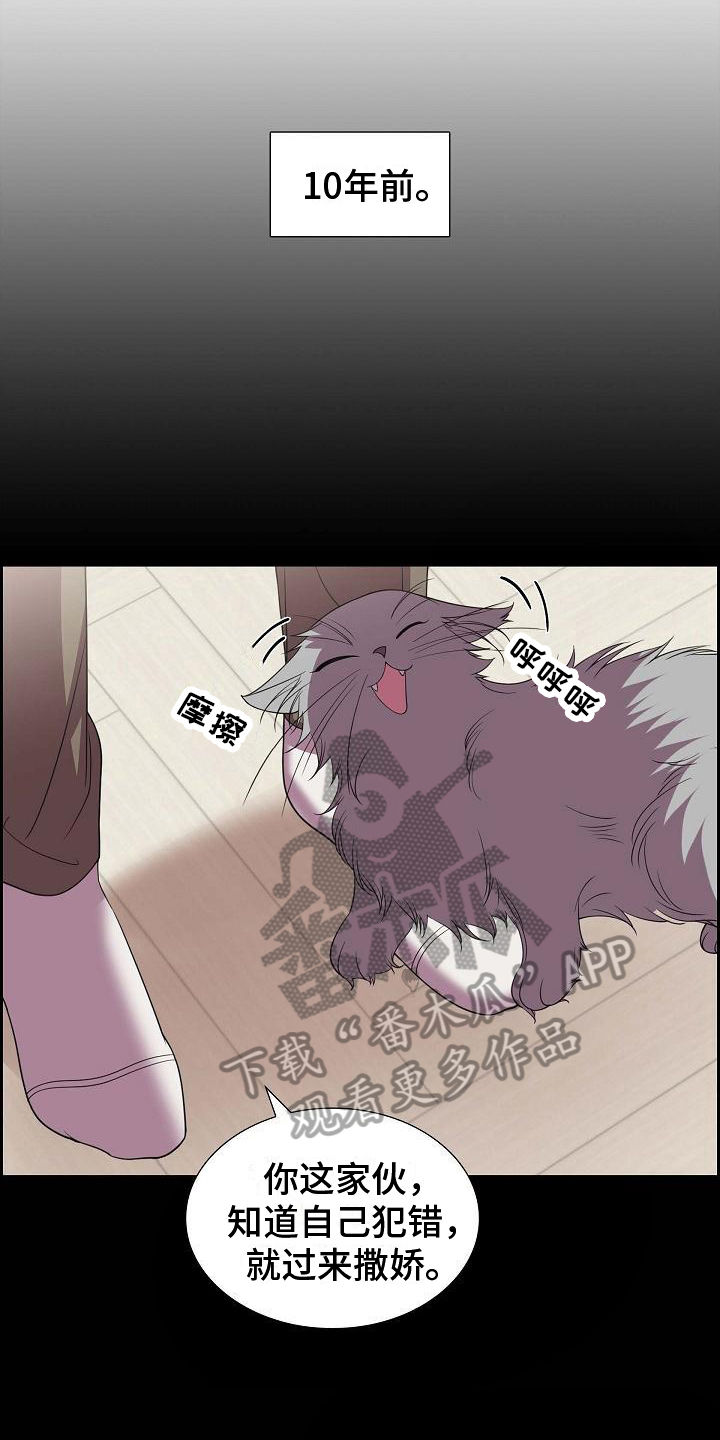 第38章：养猫0