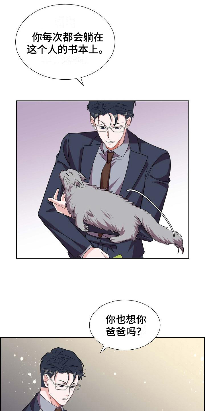 第37章：深刻记忆12