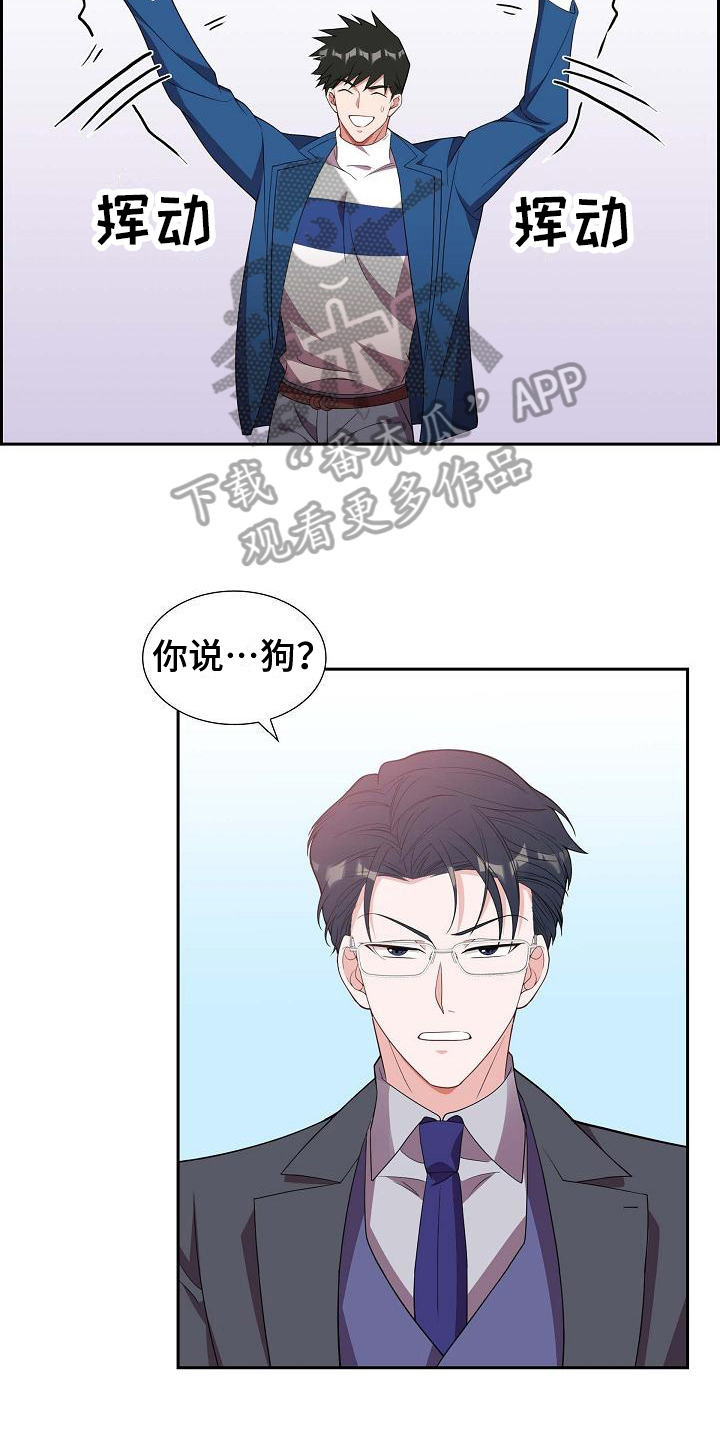 第15章：问答3