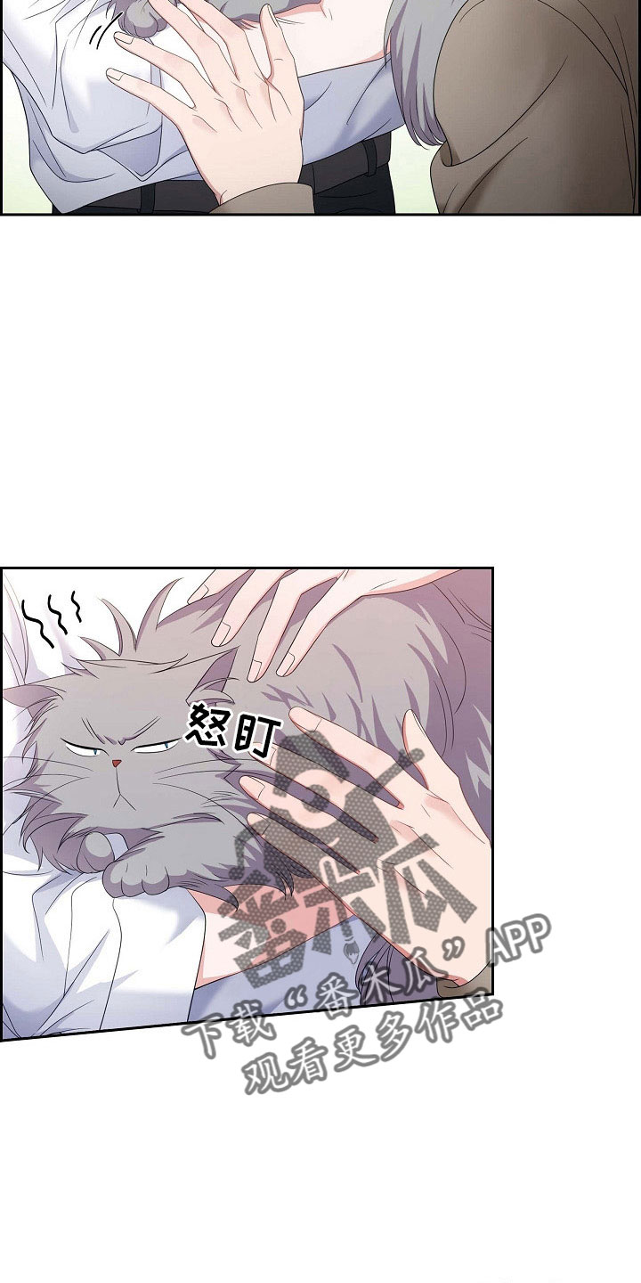 第63章：他的书4