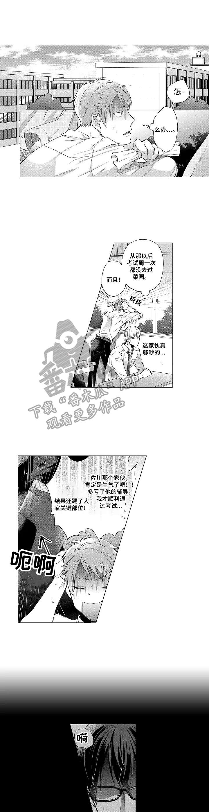 第12章：嫉妒0