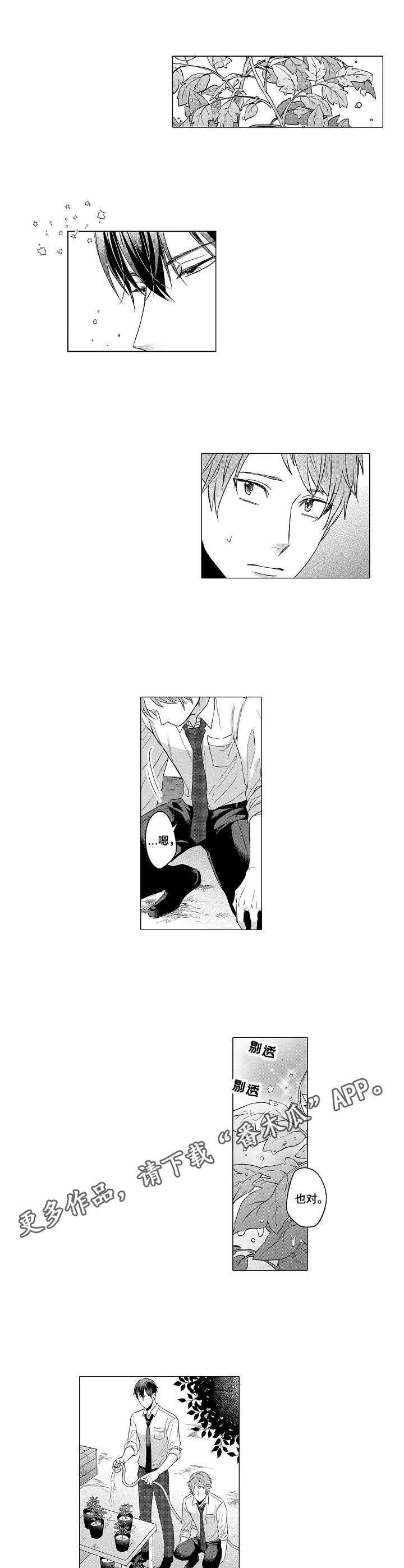 第2章：菜园3
