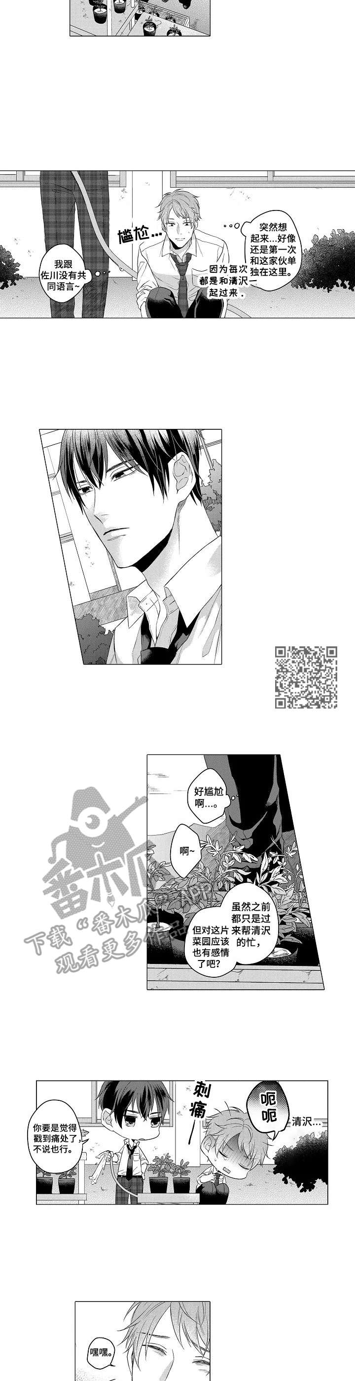第2章：菜园4
