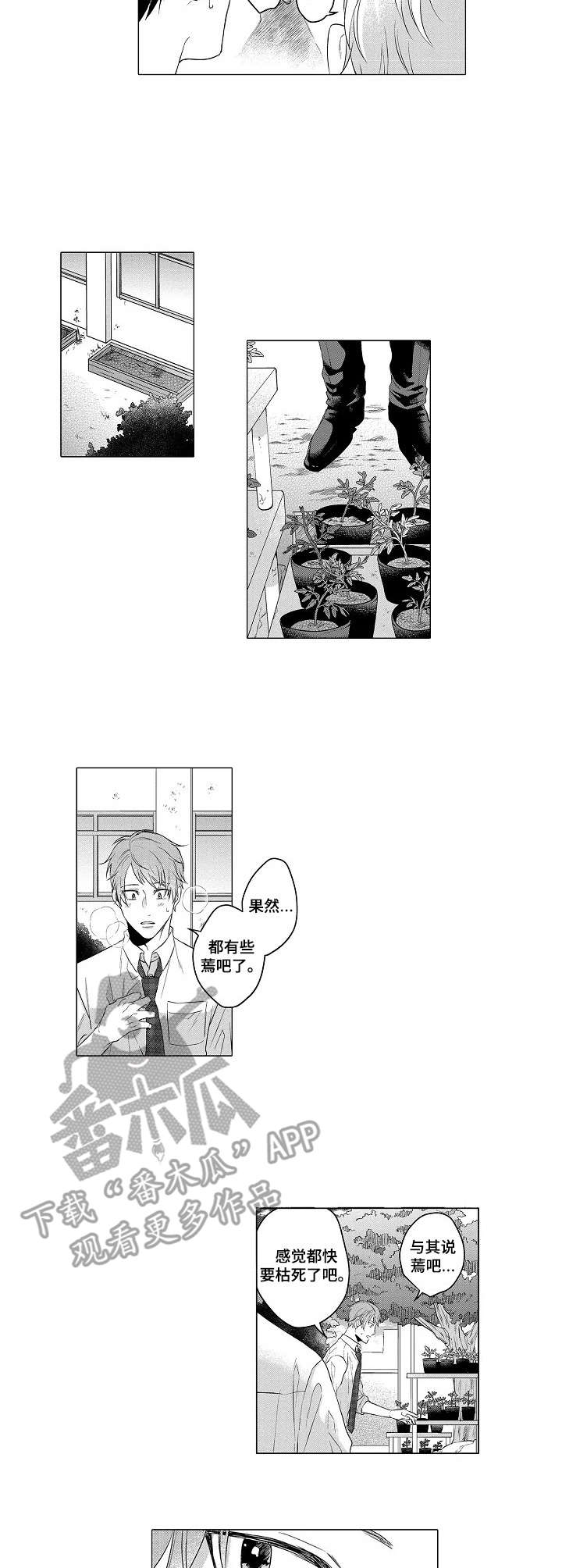 第2章：菜园1