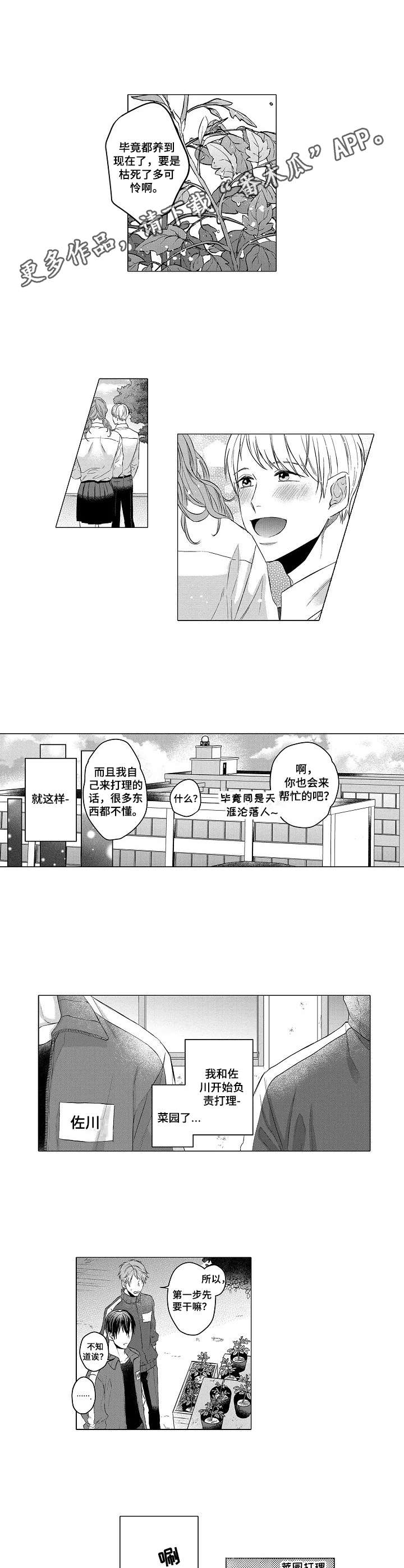 第2章：菜园7