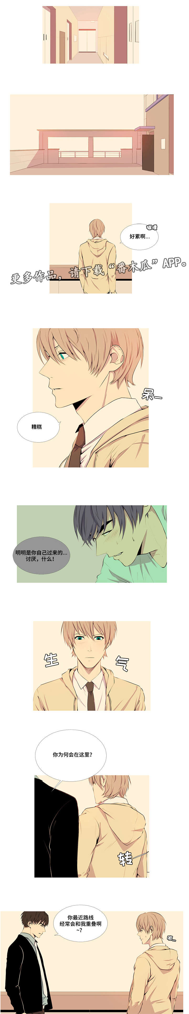 第16章：友情和爱情3