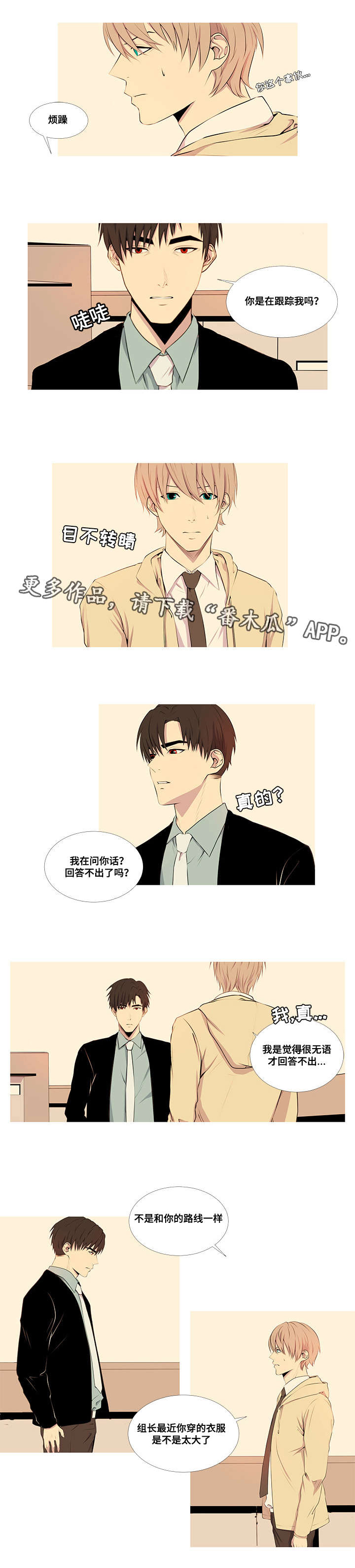 第16章：友情和爱情4