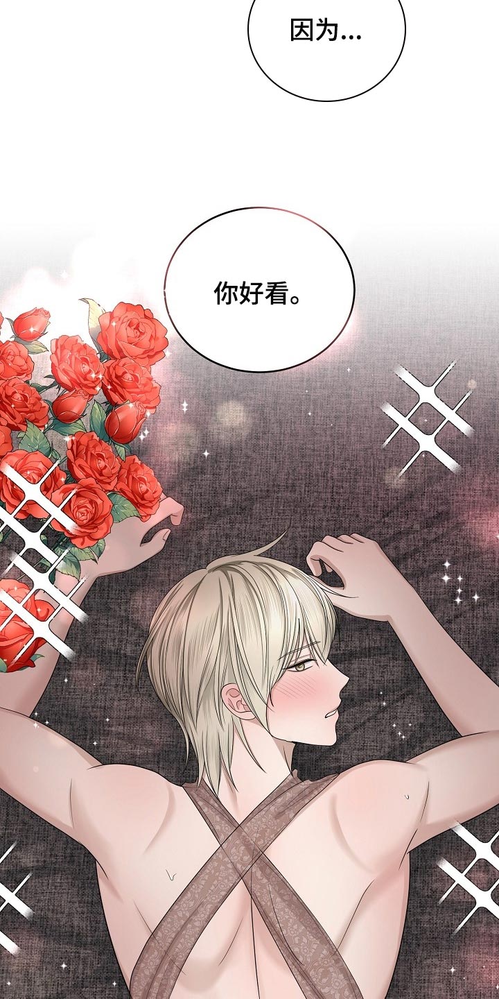 第20章：最棒的收藏品【完结】6