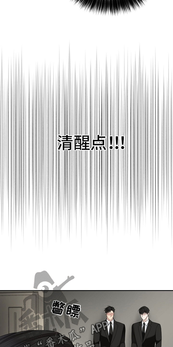 第13章：对策20