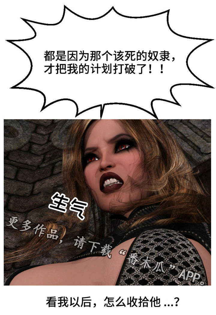 第21章：爱情6