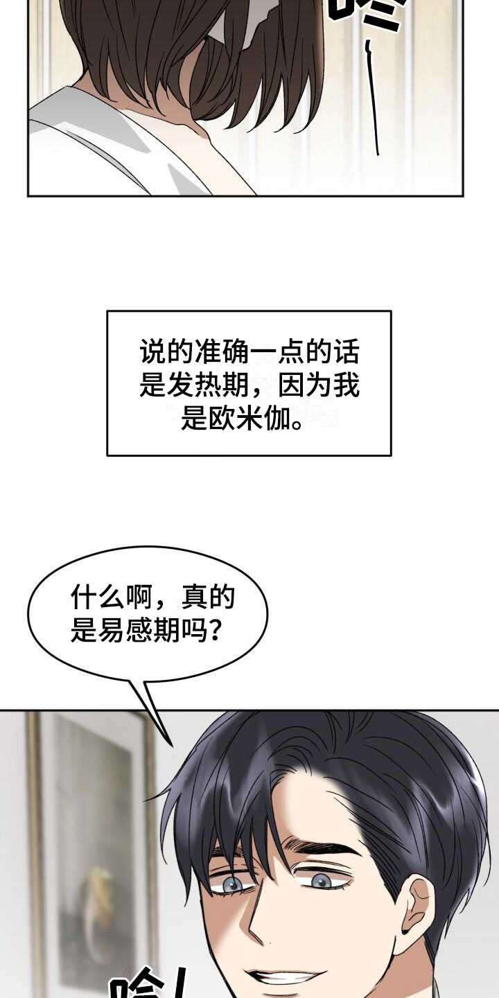 第19章：下一步19