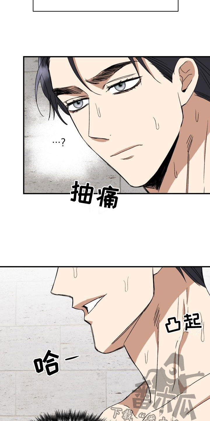 第13章：突变种23