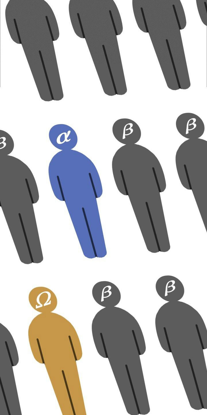 第14章：调查32