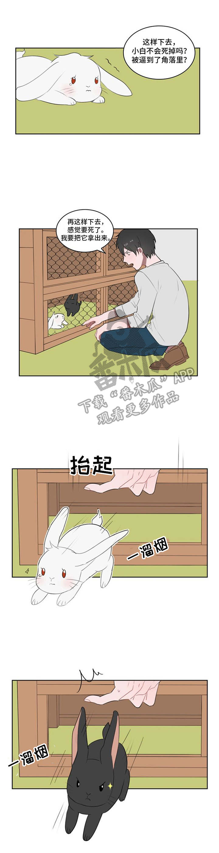 第18章：小黑小白（完结）8