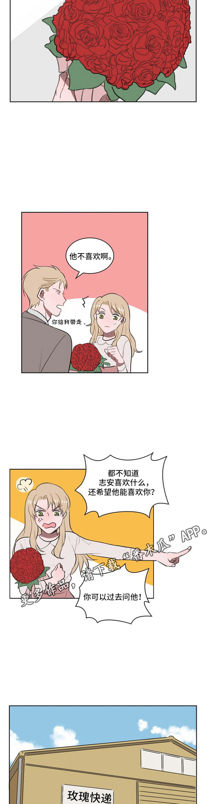 第11章：鲜花6