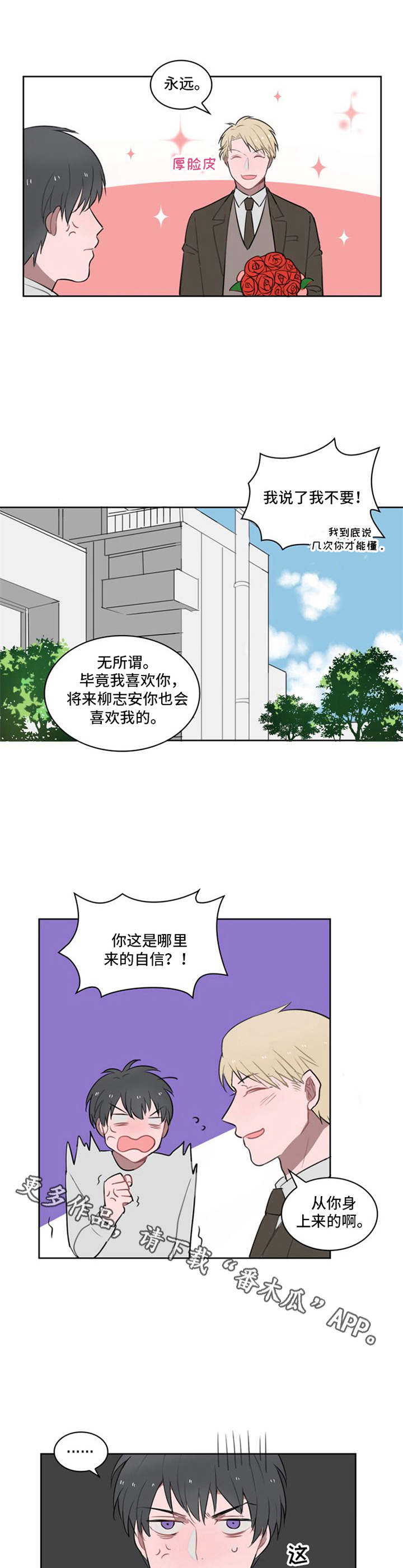 第11章：鲜花3