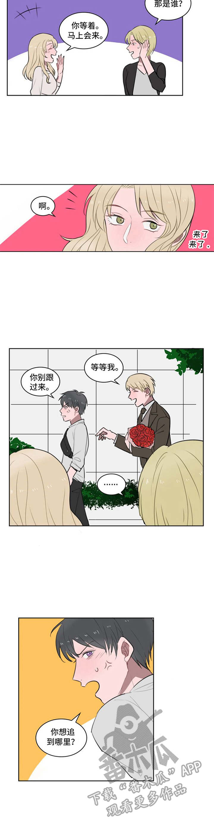 第11章：鲜花2