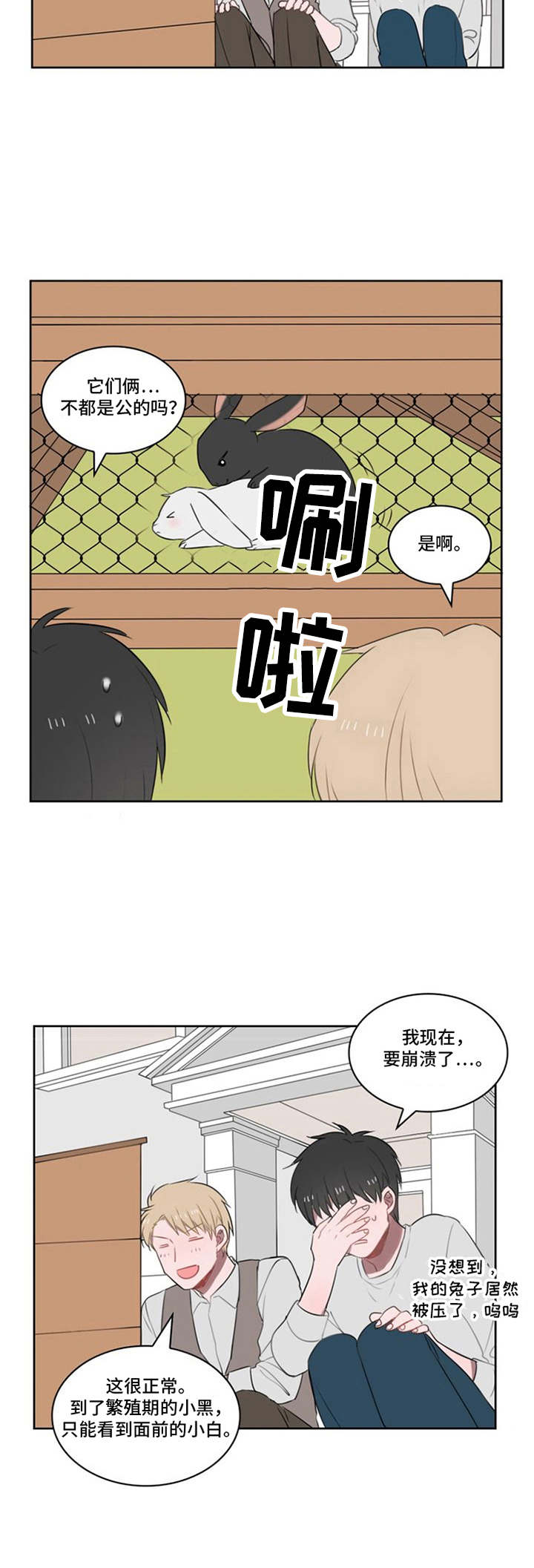 第18章：小黑小白（完结）7