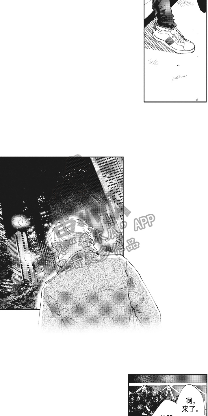 第14章：关注12