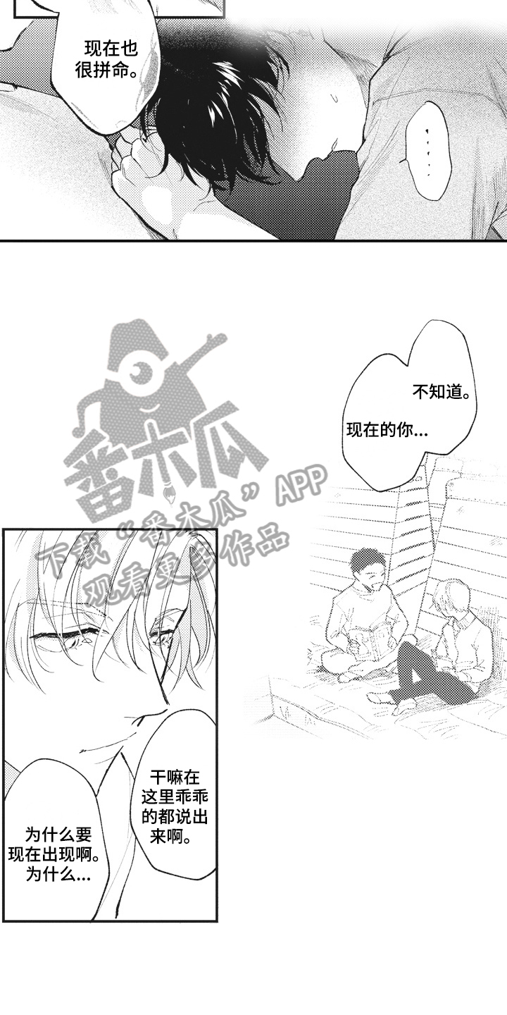 第29章：傻瓜4