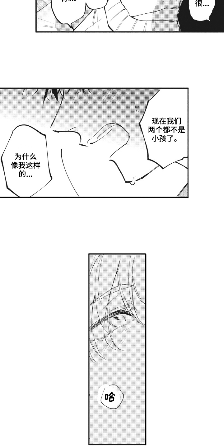 第29章：傻瓜12