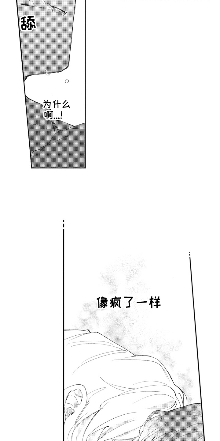 第20章：好消息8