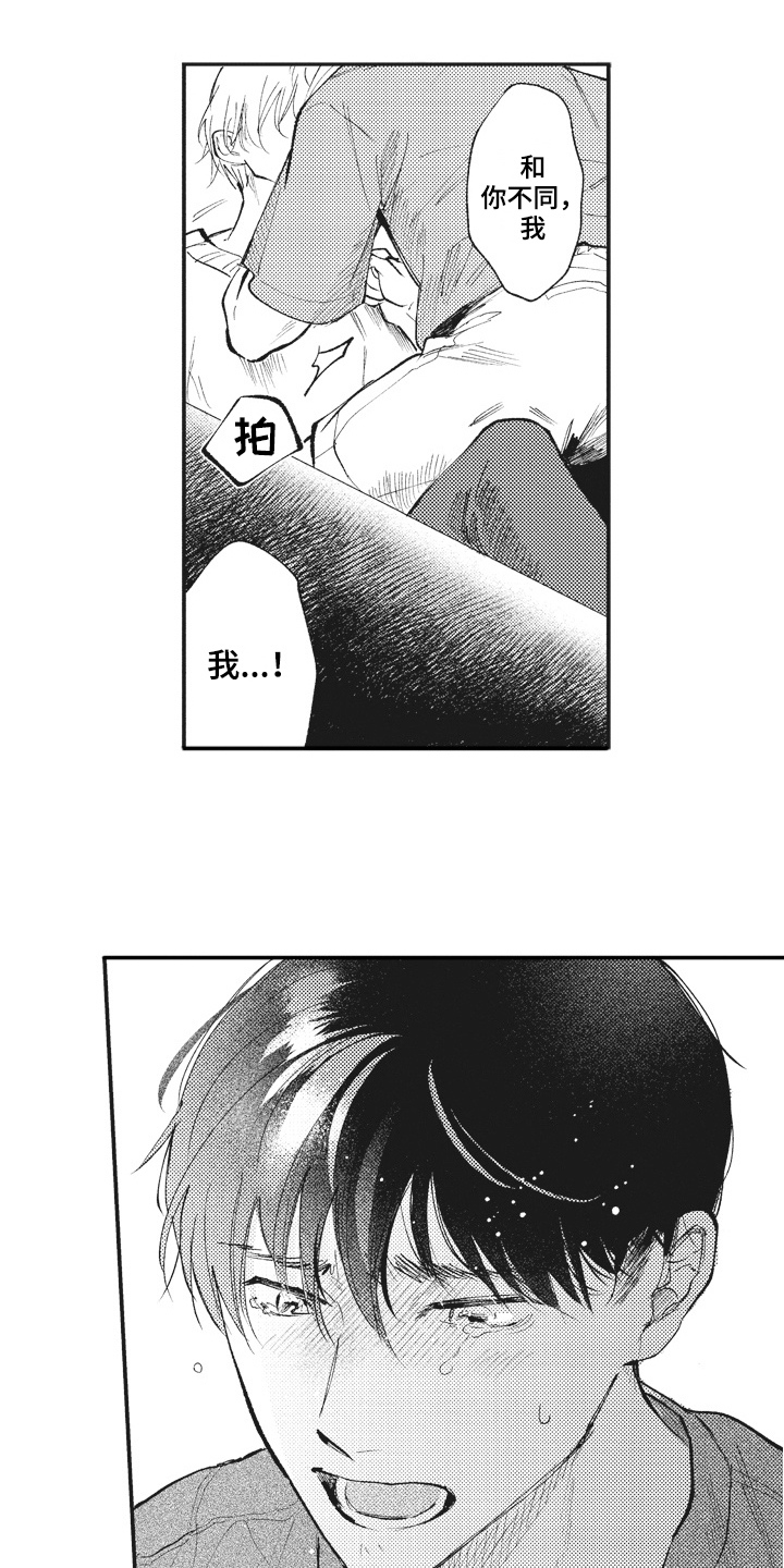 第29章：傻瓜5