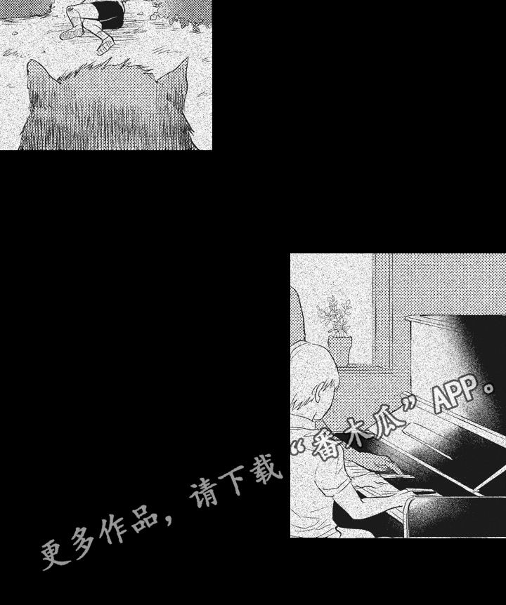 第11章：照片15