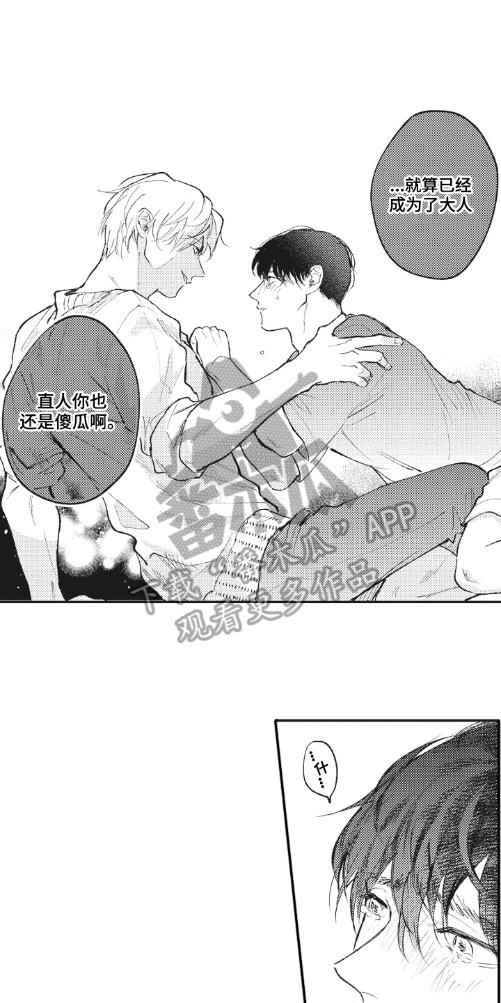 第29章：傻瓜13