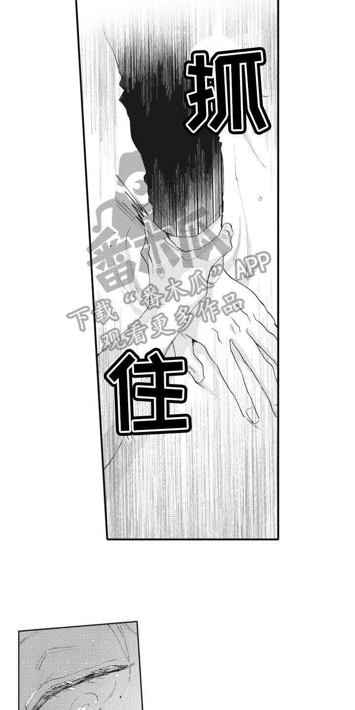 第16章：期待5