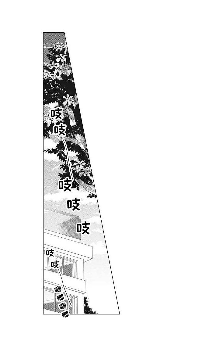 第14章：摄影家19