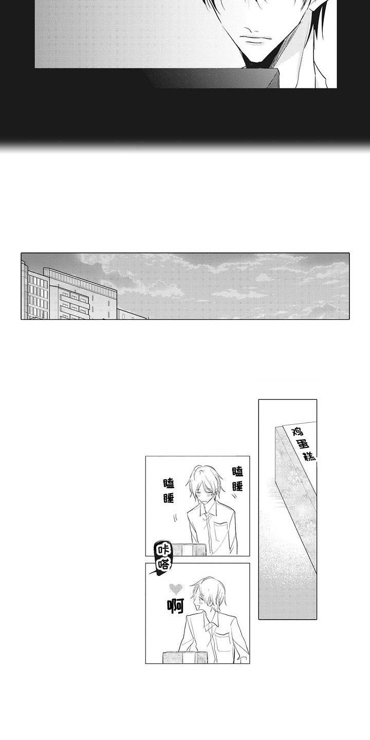 第14章：摄影家5