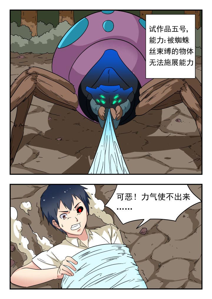 第209章：5