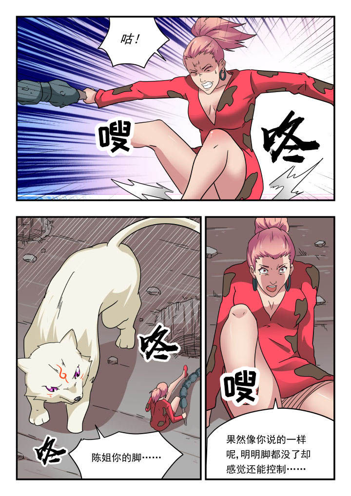第149章：5