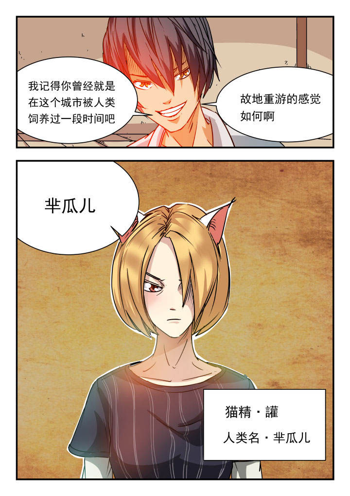 第82章：7