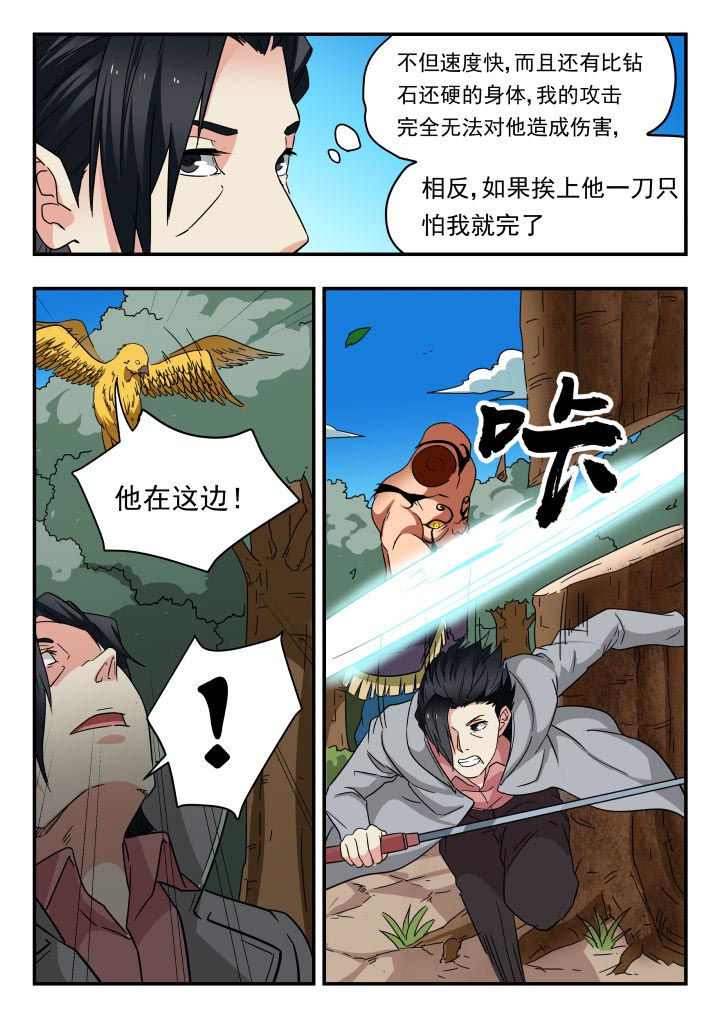 第204章：5